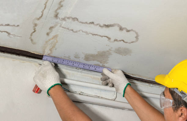 Reliable Basement Water Removal contractor in Greenville, OH by Water Damage Irwin